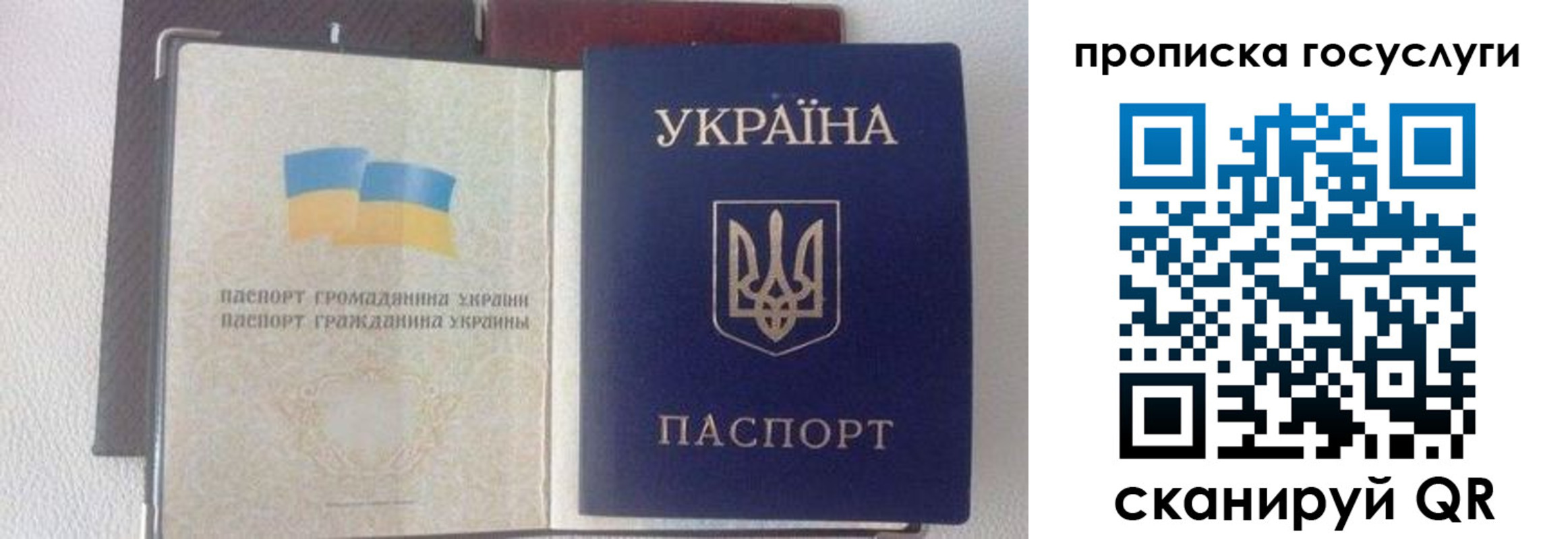 временная регистрация недорого в Александровске