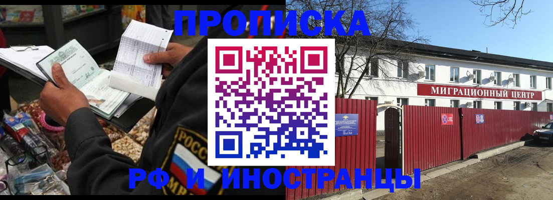 прописка поиск в Александровске